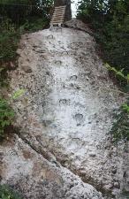 _wsb_146x225_IMG_4922