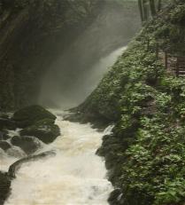 _wsb_209x231_IMG_4456
