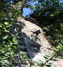 _wsb_210x225_IMG_4852