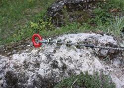 _wsb_250x177_IMG_4380