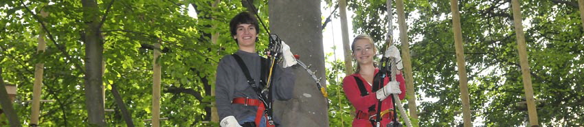 Feiern wie die Affen