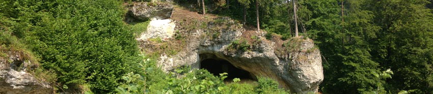 Der Weg durch die Wildnis