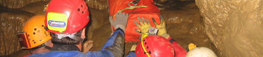 Nur gemeinsam sind wir stark